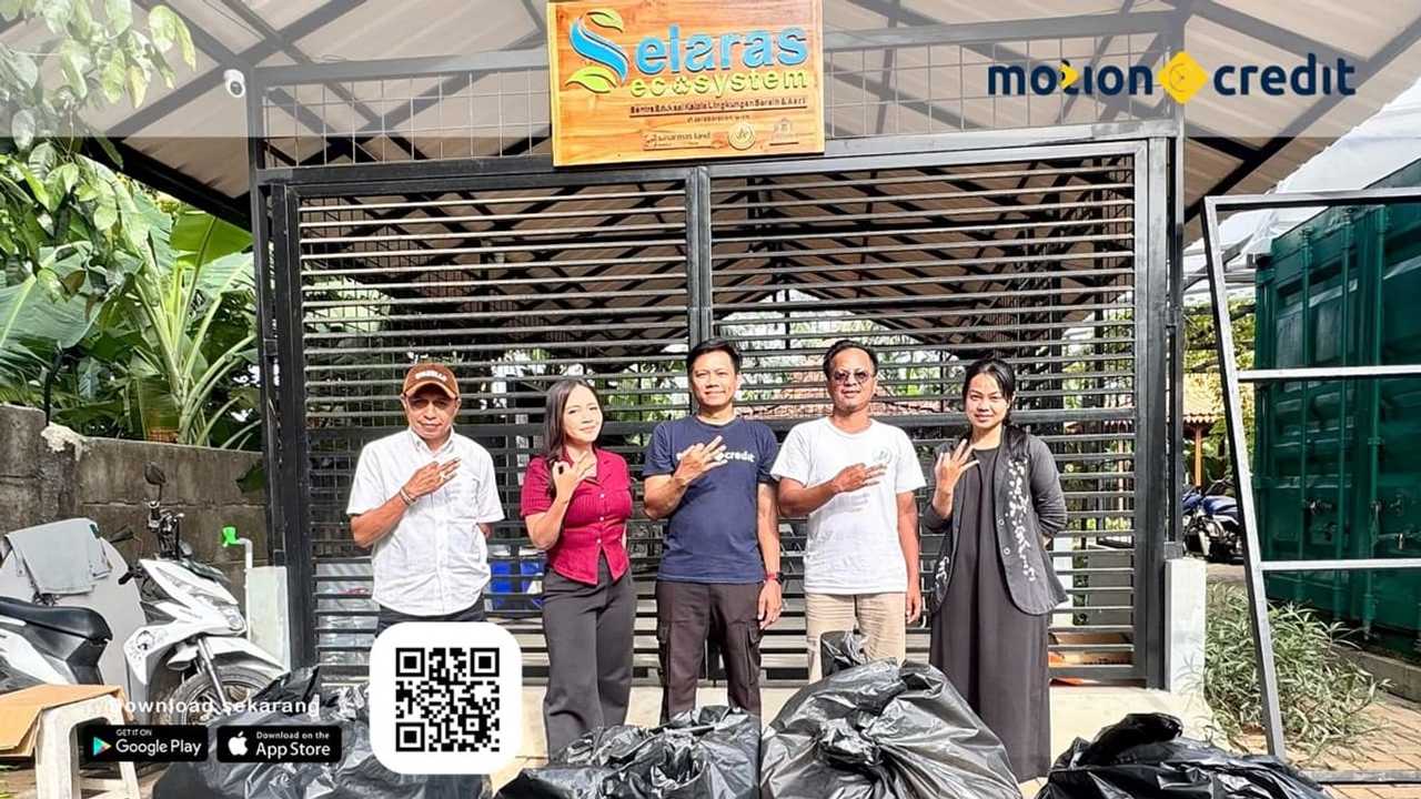 Search image article