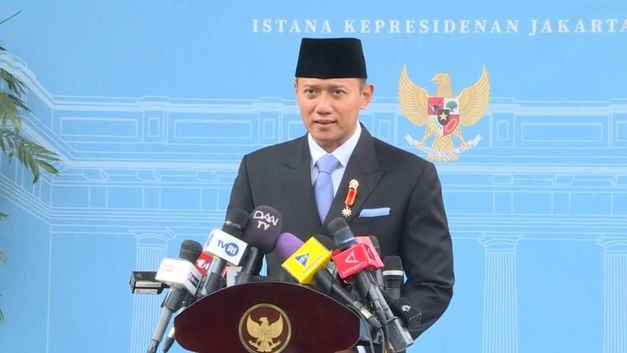 Search image article