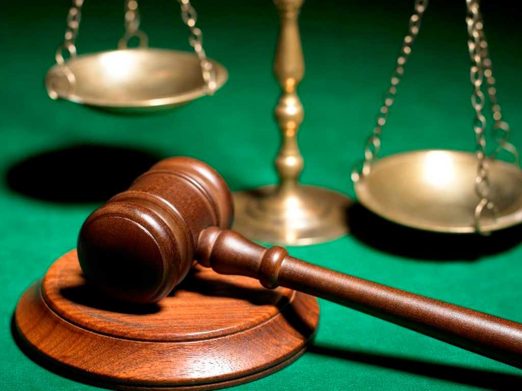 Search image article