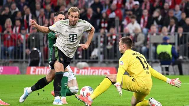 Search image article