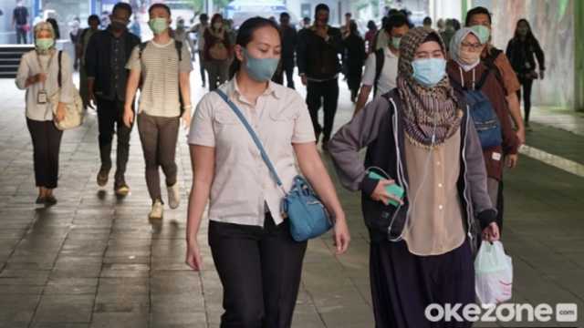 Search image article