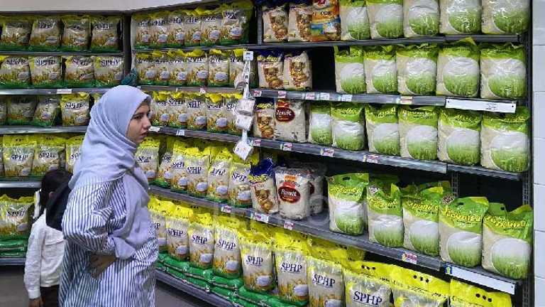 Search image article