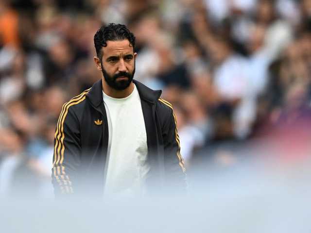 Search image article