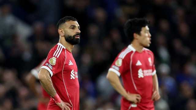 Search image article