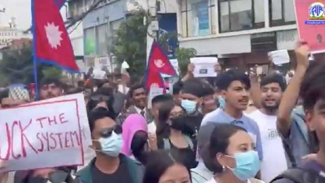 Search image article