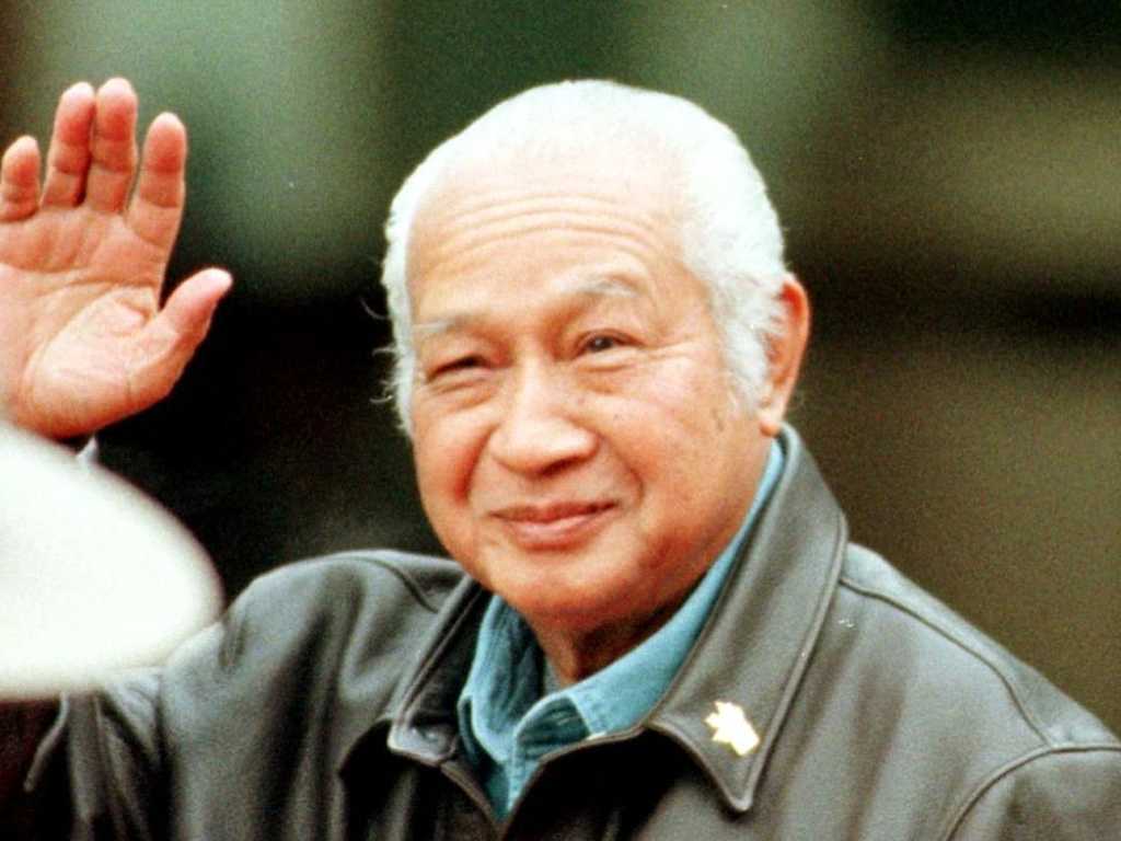 Search image article