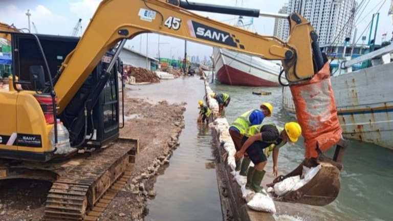 Search image article