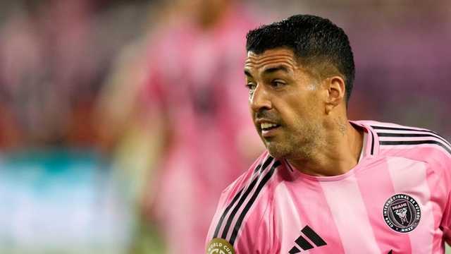 Search image article