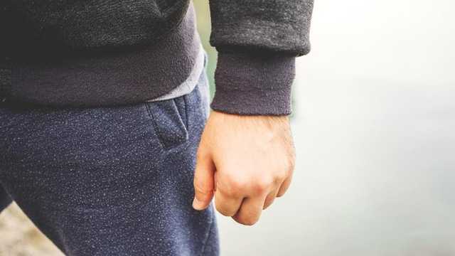 Search image article