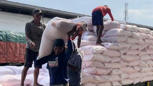 Pemerintah Pangkas Harga Pupuk Subsidi Hingga 20%, Petani Untung Besar