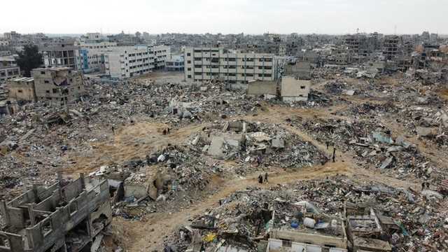 Search image article