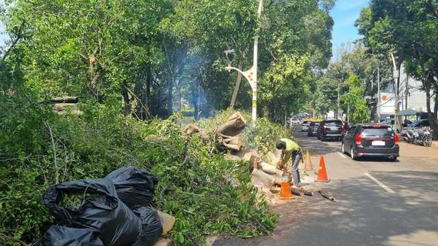 Search image article