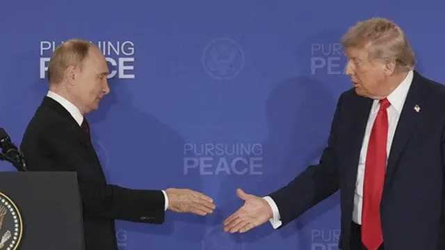 Search image article