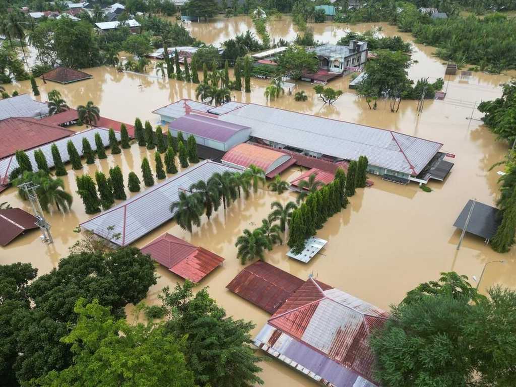 Search image article