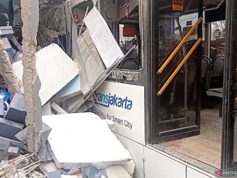 Search image article