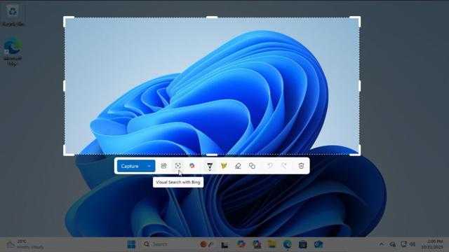 Search image article