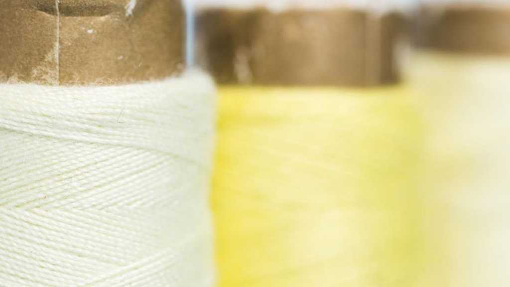 Search image article