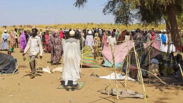 PBB Ungkap: RSF Bantai Ratusan Pasien di Rumah Sakit Darfur