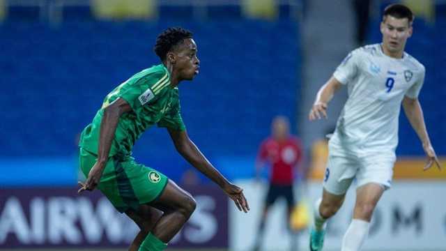 Search image article