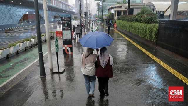 Search image article