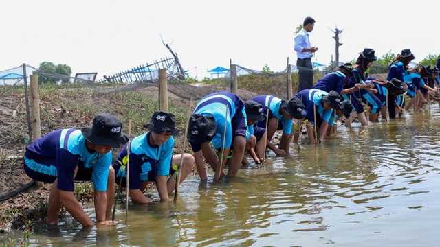 Search image article