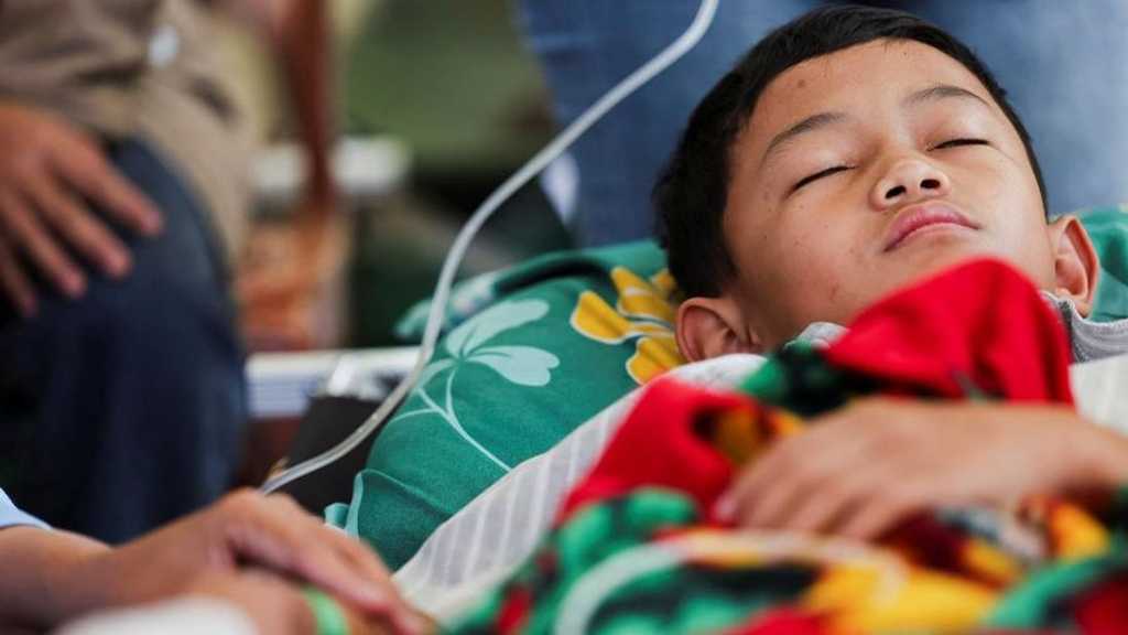 Search image article