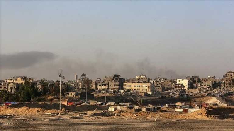 Search image article