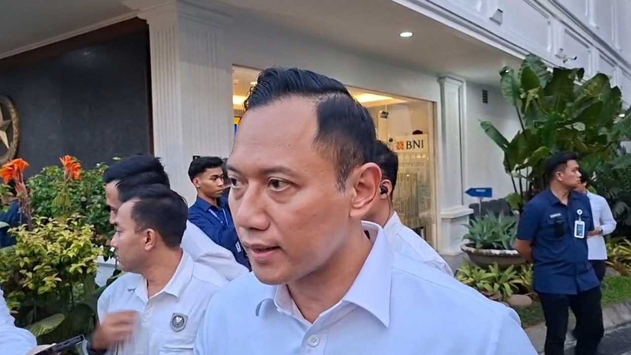 Search image article