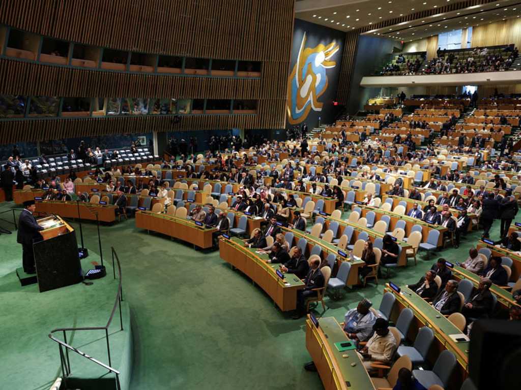 Search image article