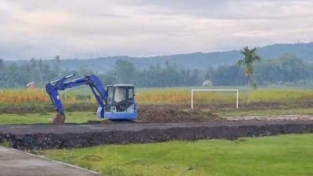 Search image article