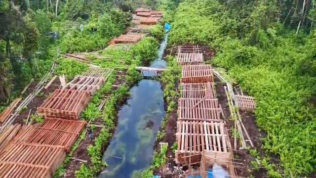 Search image article