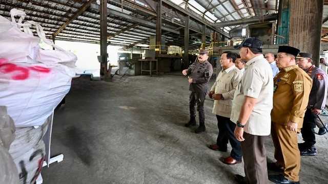 Search image article