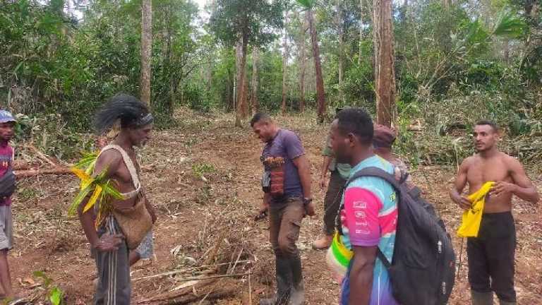 Pemerintah terus bangun pabrik bioetanol di Merauke, ditolak masyarakat adat