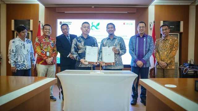 Search image article