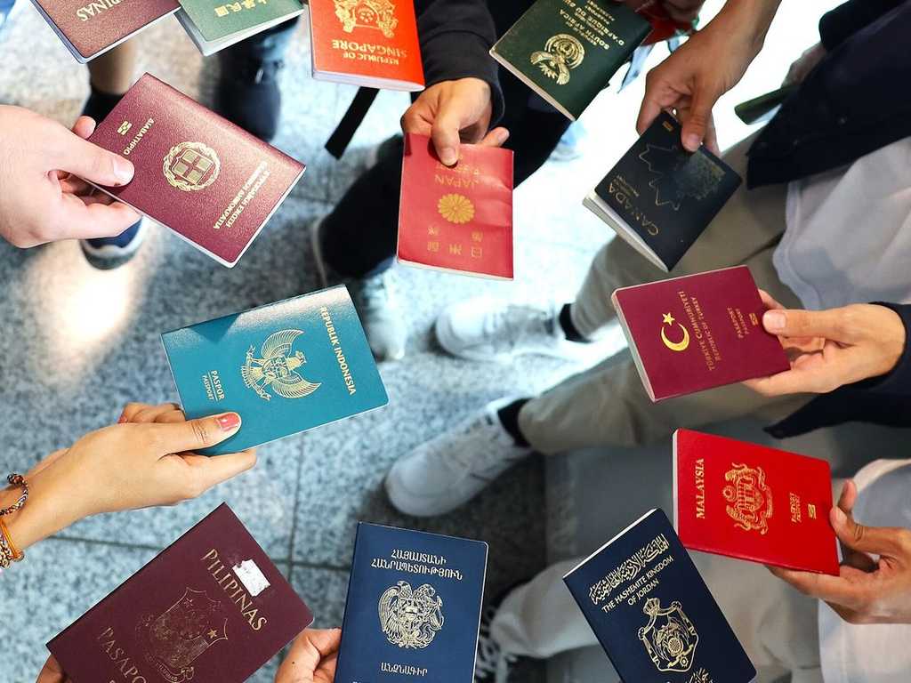 Search image article