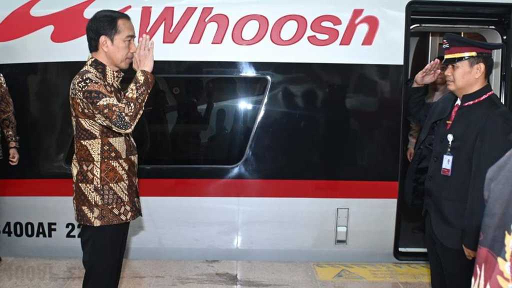 Search image article