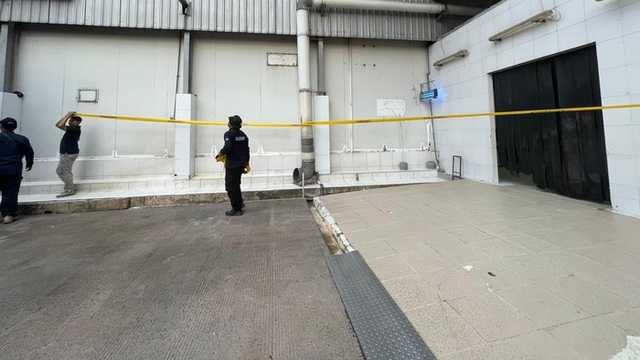 Search image article