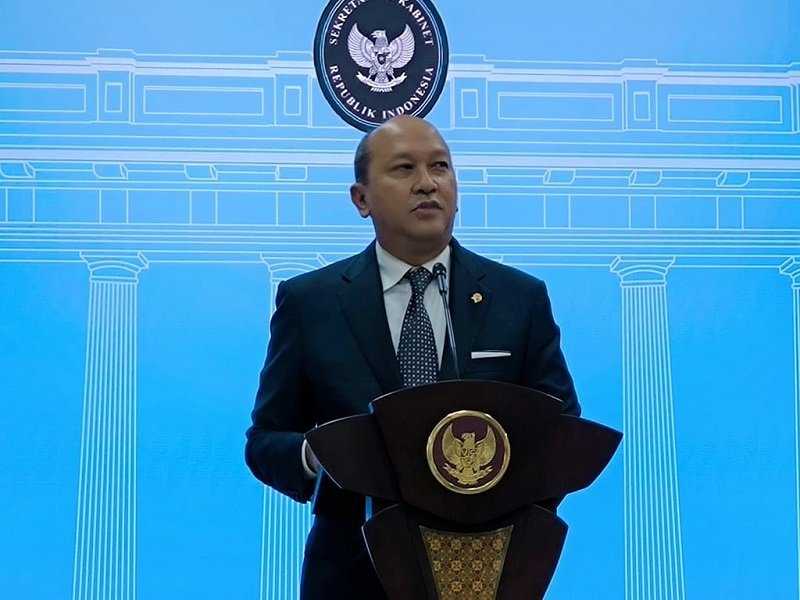 Search image article