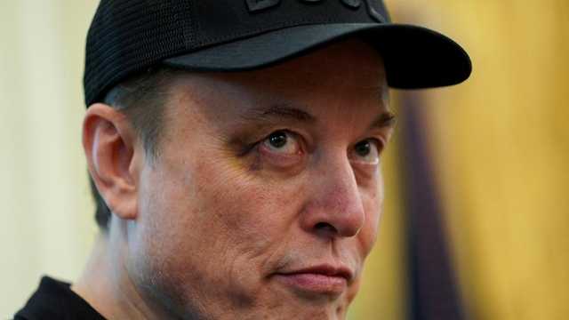 Search image article