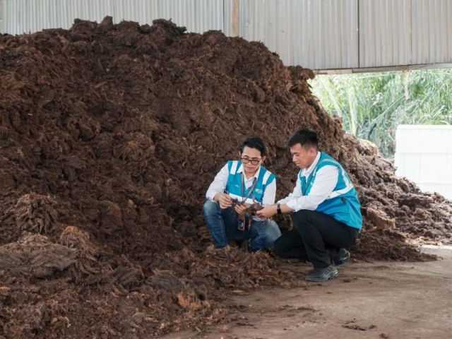 Search image article