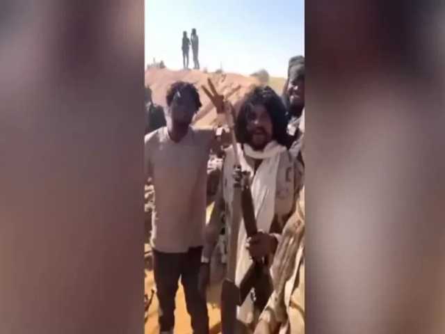 Search image article