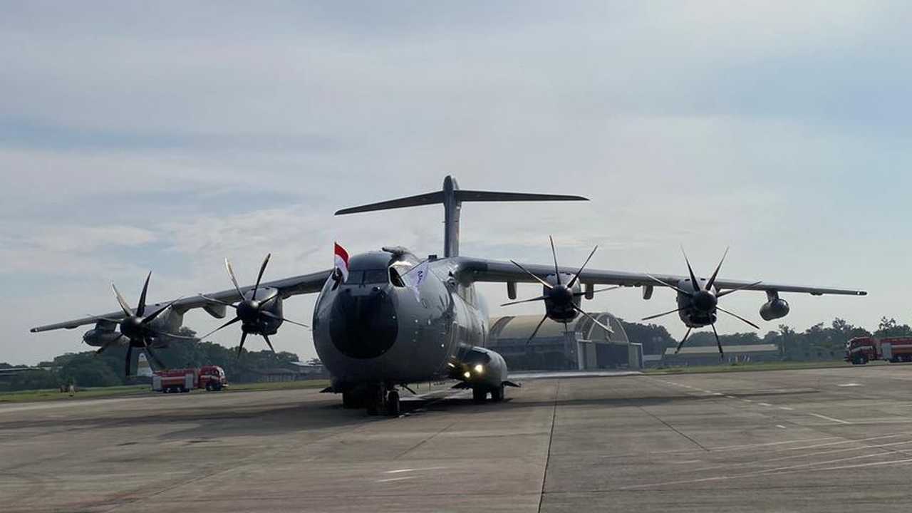 Search image article