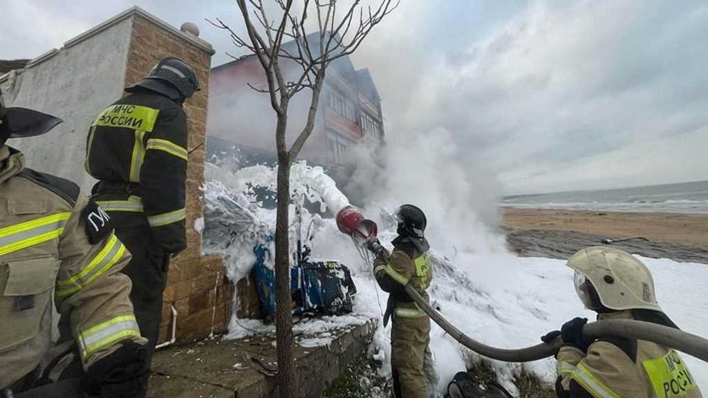 Search image article