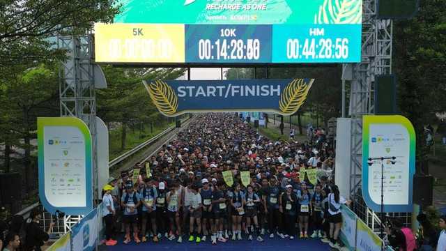 Search image article