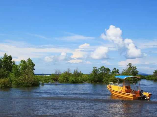 Search image article