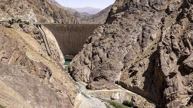 Search image article