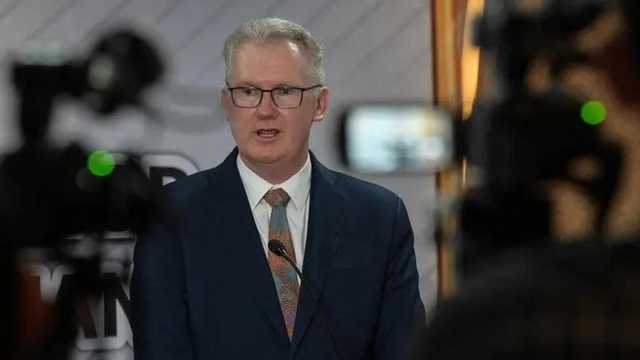 Search image article