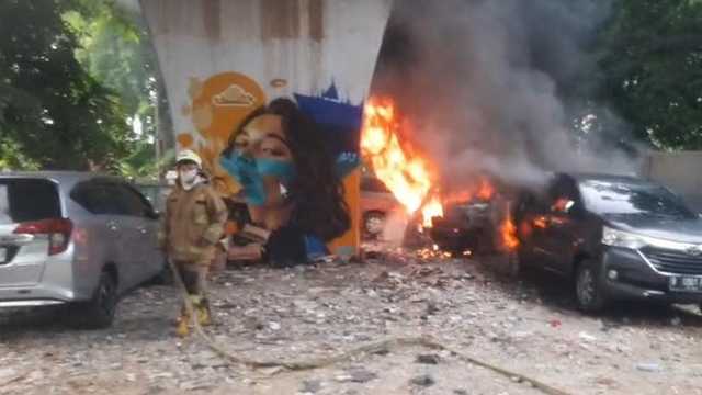 Search image article