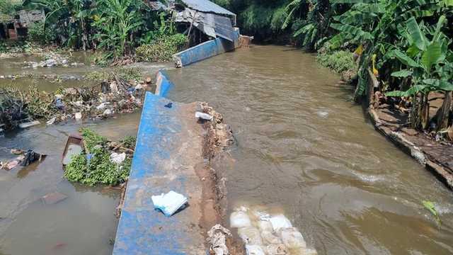 Search image article