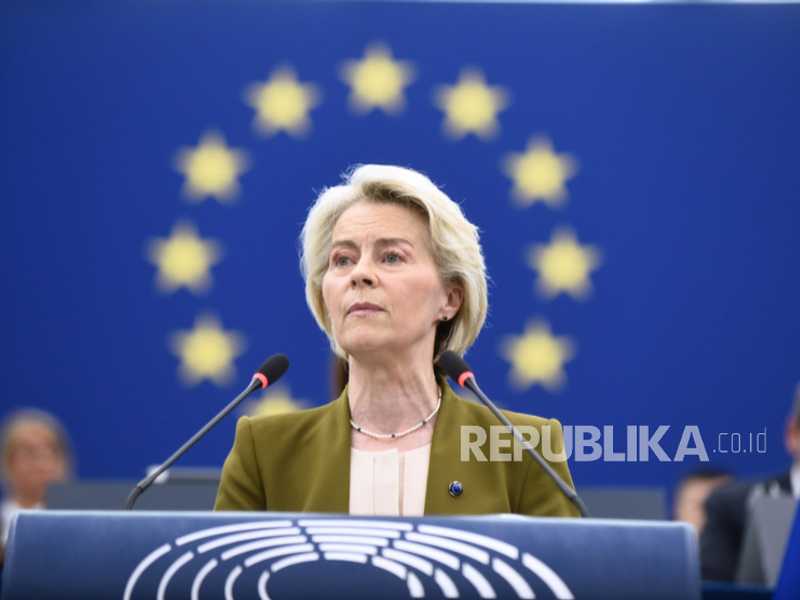 Search image article